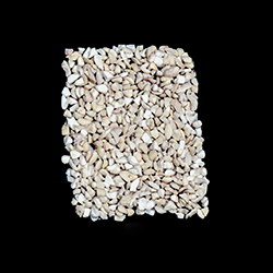 Cashew SWP