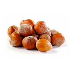 Hazelnut With Shell