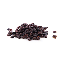 Blueberry Dried