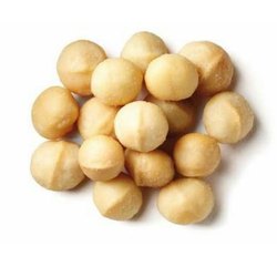 Macadamia
