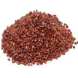 Red Quinoa