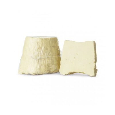 Ricotta